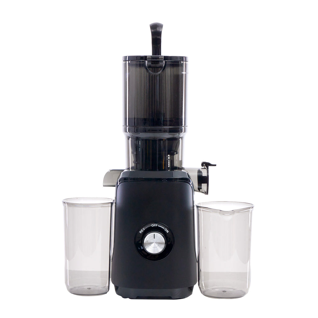 VANECL Slow Masticating Cold Press Juicer, 4.25in Wide Chute Whole Fruit Vegetable Juicer, Easy Clean Reverse Anti-Clog Cold Press Juice Extractor