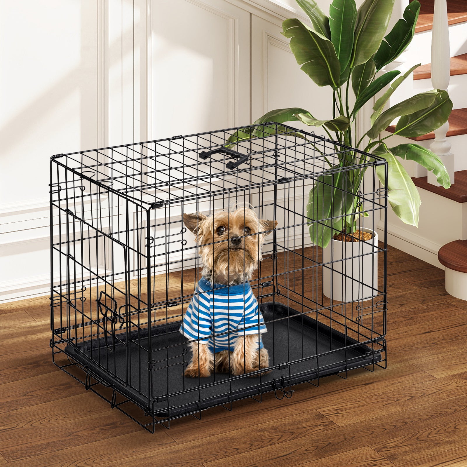 VANECL 24 Inch Single Door Metal Dog Crate, Collapsible Pet Kennel with Secure Lock & Removable Clean Tray for Small Medium Puppy