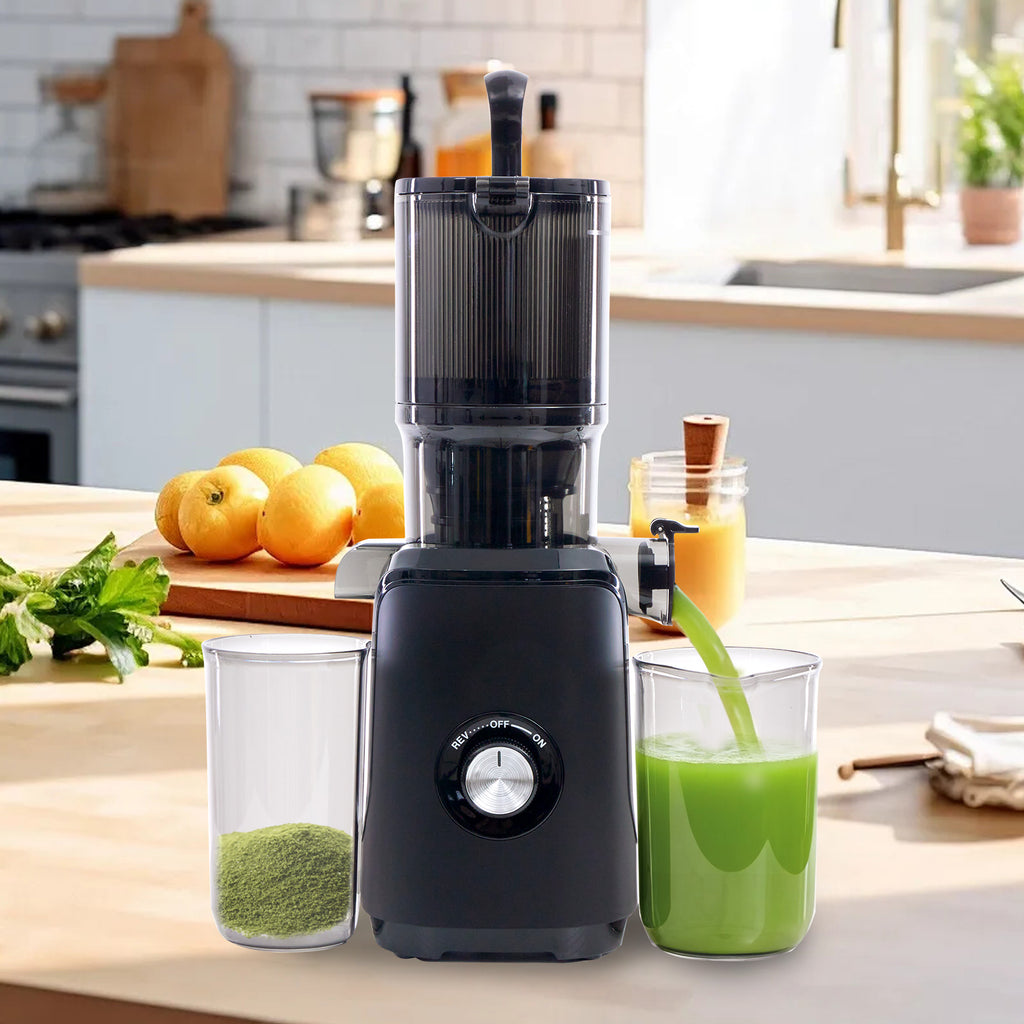 VANECL Slow Masticating Cold Press Juicer, 4.25in Wide Chute Whole Fruit Vegetable Juicer, Easy Clean Reverse Anti-Clog Cold Press Juice Extractor